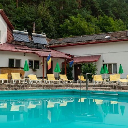 Pensiunea Alpin Paltinis Ngoại thất bức ảnh