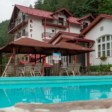 Pensiunea Alpin Paltinis Ngoại thất bức ảnh