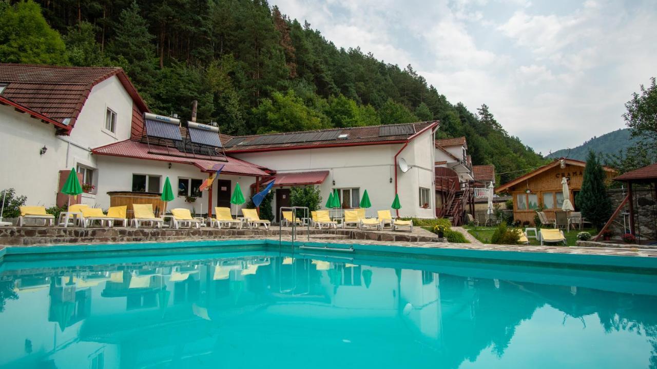 Pensiunea Alpin Paltinis Ngoại thất bức ảnh
