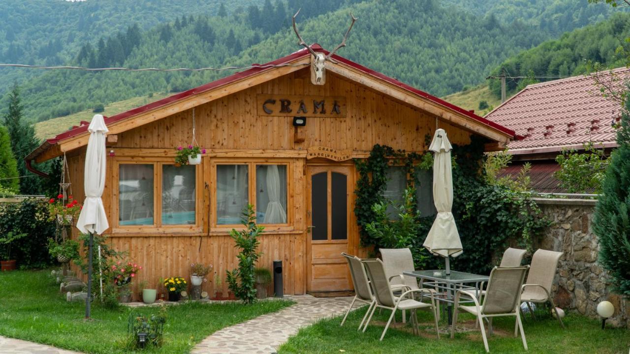 Pensiunea Alpin Paltinis Ngoại thất bức ảnh