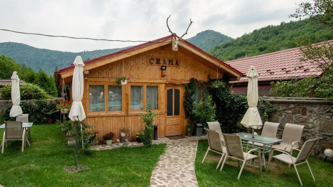 Pensiunea Alpin Paltinis Ngoại thất bức ảnh