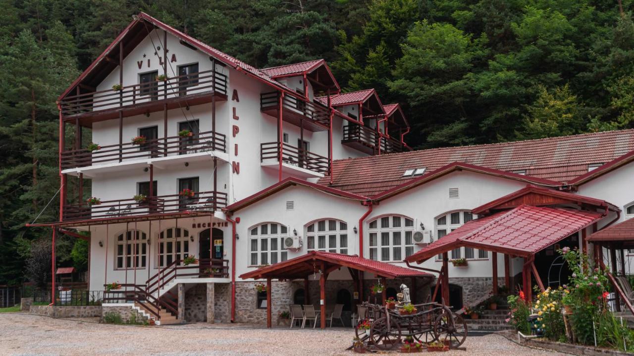 Pensiunea Alpin Paltinis Ngoại thất bức ảnh
