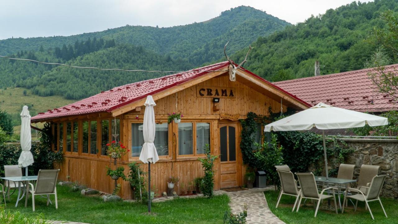 Pensiunea Alpin Paltinis Ngoại thất bức ảnh