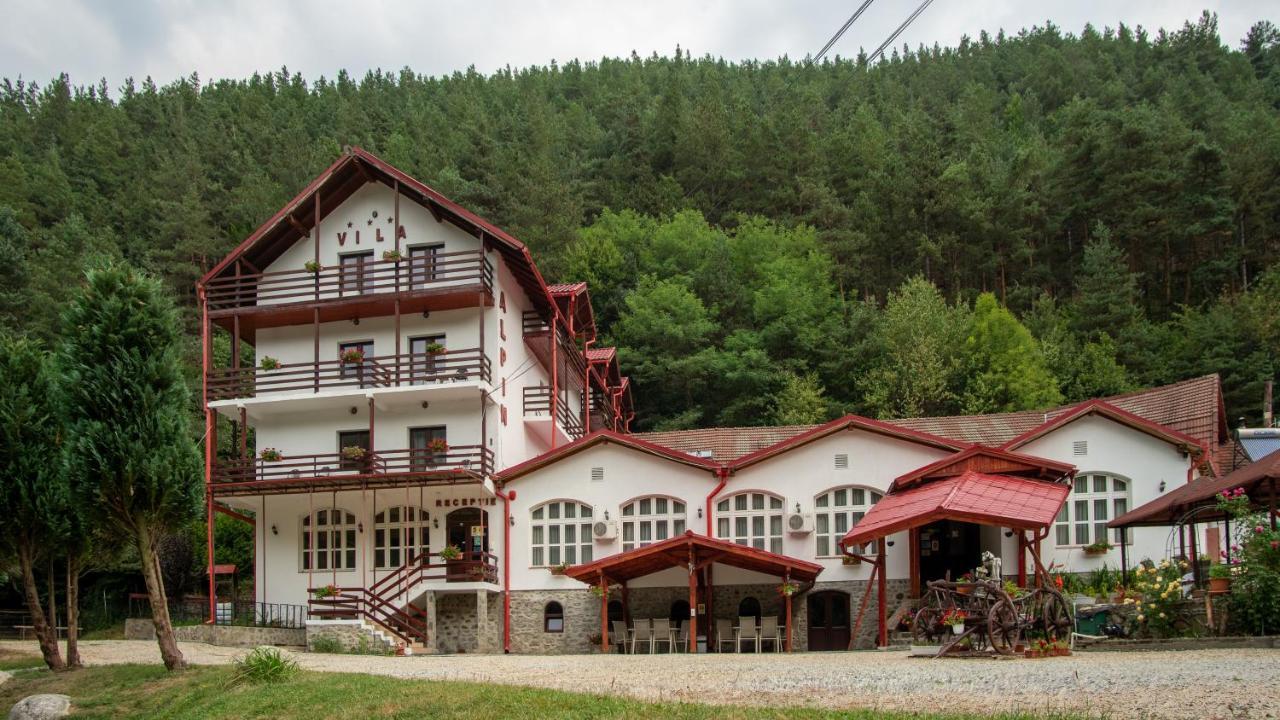 Pensiunea Alpin Paltinis Ngoại thất bức ảnh