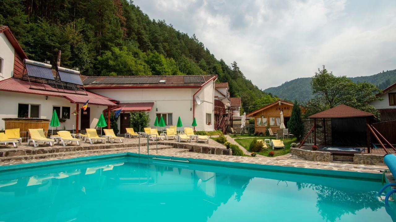 Pensiunea Alpin Paltinis Ngoại thất bức ảnh